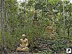 Храм, затерянный в джунглях на другой стороне Меконга, Луанг-Прабанг, Лаос.