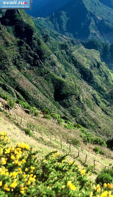 �������, ����������.