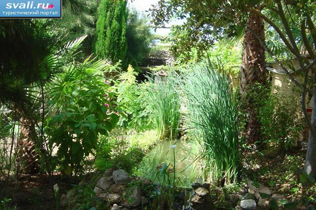 ���� �� ������ �� ������� �����-�����, ��������� �������, ����������.