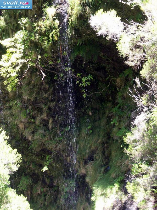 �������, ����������.