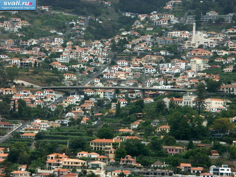 �������, ����������.