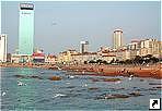  (Qingdao),   (Shandong), .