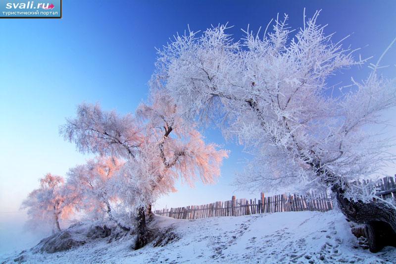 ������������ �������, ��������� ������� (Jilin), �����. 