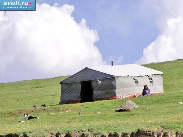 ���� ���������� ����� ������ ����� (Xining), ��������� ������ (Qinghai), �����. 