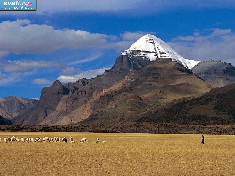    (Kailash), .