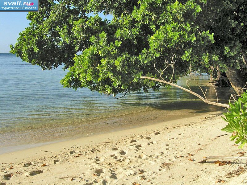 ��������, �������, ������ ����� �������� (Lissenung, Kavieng, New Ireland island), �����-����� ������.