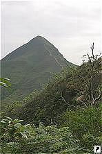     (Tai Mo Shan),  , , .