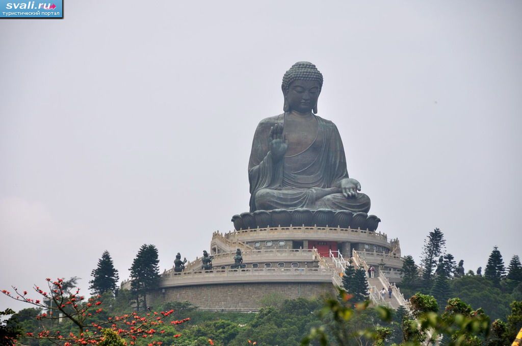 ��������� ������ �����, ������ ������ (Lantau), �������, �����.