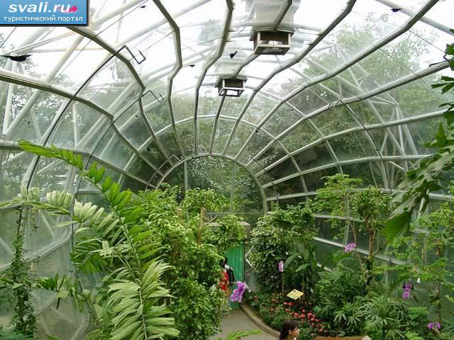 ���� "Ocean Park", �������, �����.