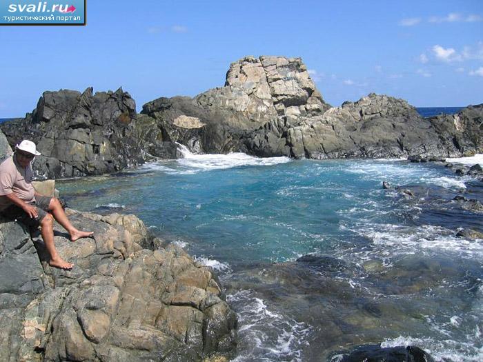 ��������� �������, �����, ����������.