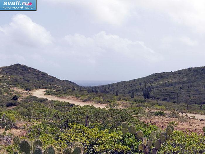 ������������ ���� ������ (Arikok), �����, ����������.