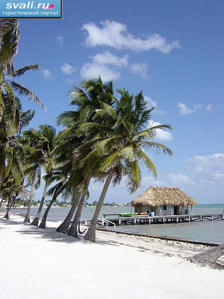   (Ambergris Caye), .