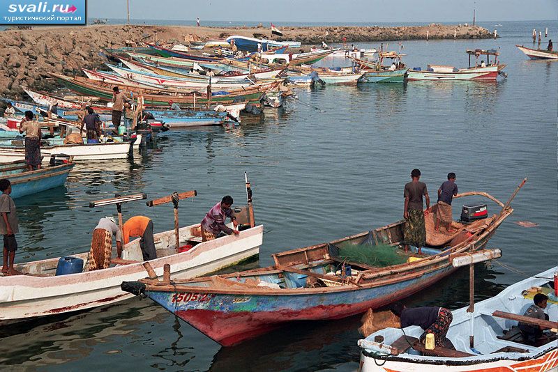 ������ �����, ������� (Hudaydah), �����.