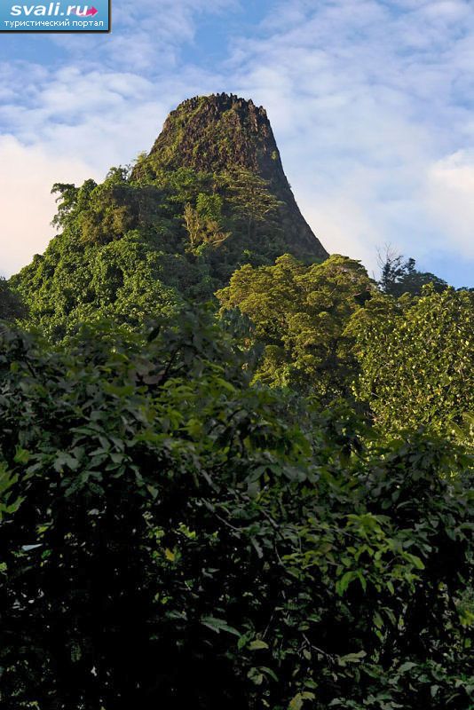 ������ ������, ������������ ����� ����������.