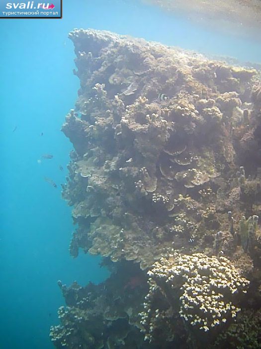 ������� �������, ������ ������, ������������ ����� ����������.