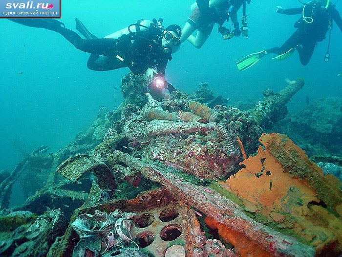 ������� �� Hiroshi Point, ������ ������ (Kosrae), ������������ ����� ����������.