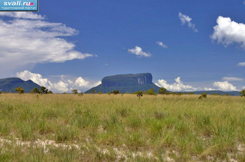 ������������ ���� �������, ���������.