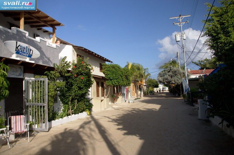 ����-����, ��������� ���-�����, ���������.