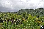 Остров Бабелтуап (Babelthuap, Babeldaob), Палау. Остров Бабелтуап (Babelthuap, Babeldaob), Палау.