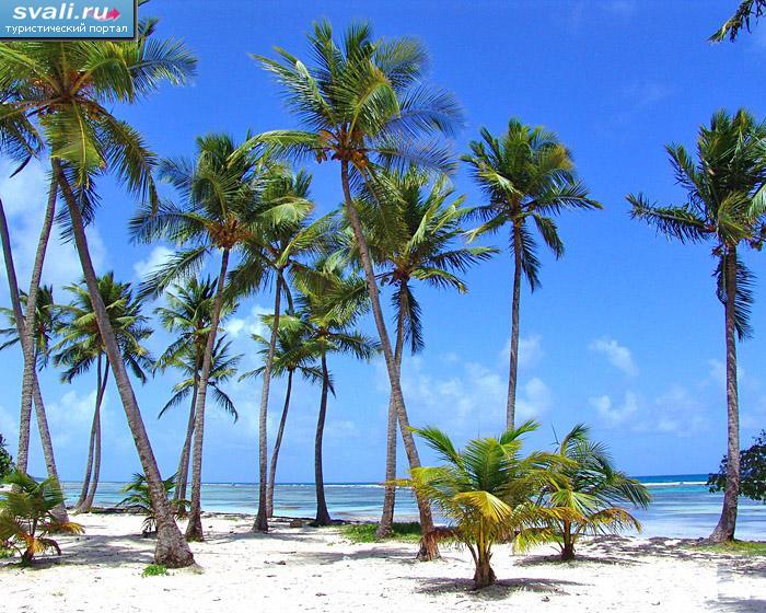 ����, �������, �������.