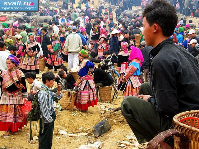 ����� � Bac Ha, �������.