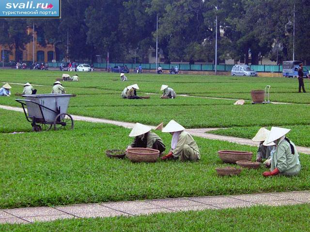  (, Ho Chi Minh City), .