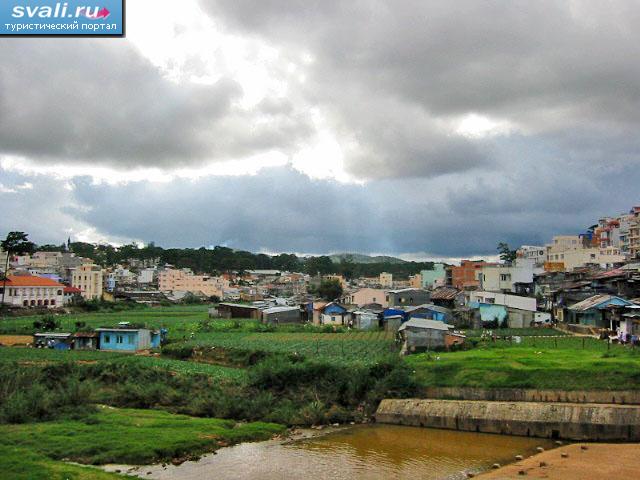 ����� (Da Lat), �������.
