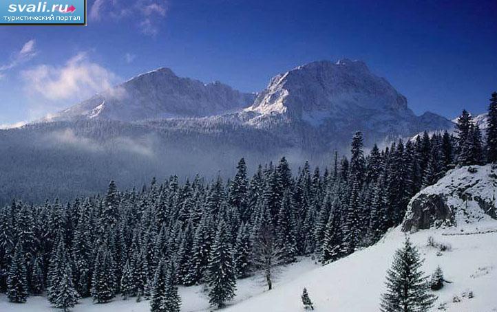 ������� ���, ��������, ����������.