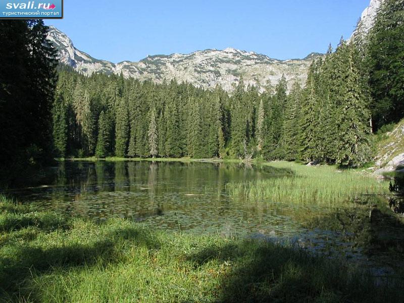 Змеиное озеро, Дурмитор, Черногория. | Черногория | фотографии ...