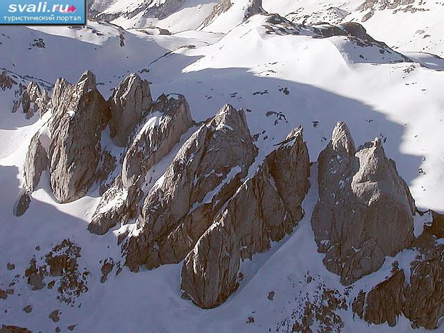 ����� (Zupci), ��������, ����������.