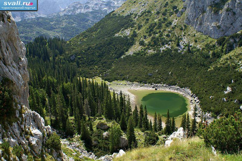 Тополиное озеро (Jablan jezero), Дурмитор, Черногория. | Черногория ...