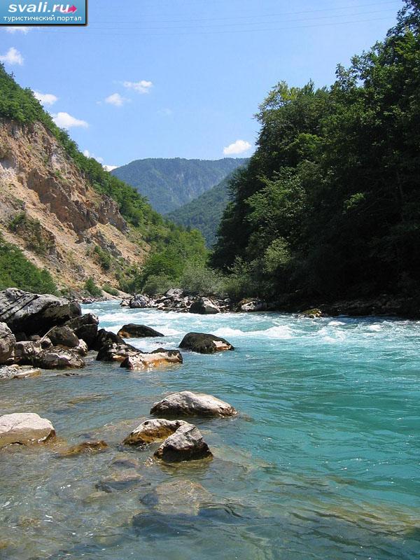 Река Тара, Дурмитор, Черногория. | Черногория | фотографии ...