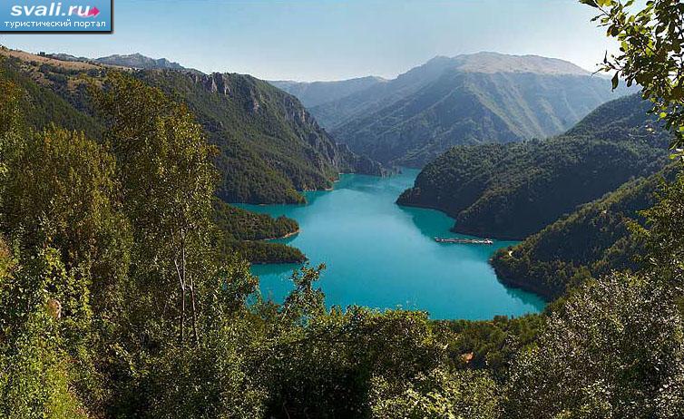 ������� �������������, ����������.