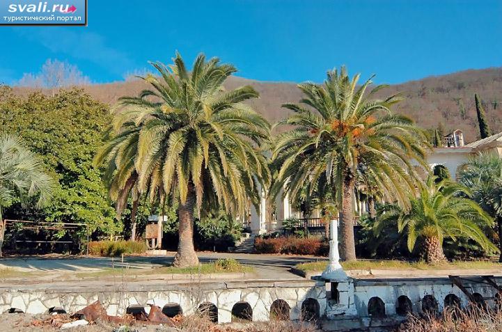 �����, �������.