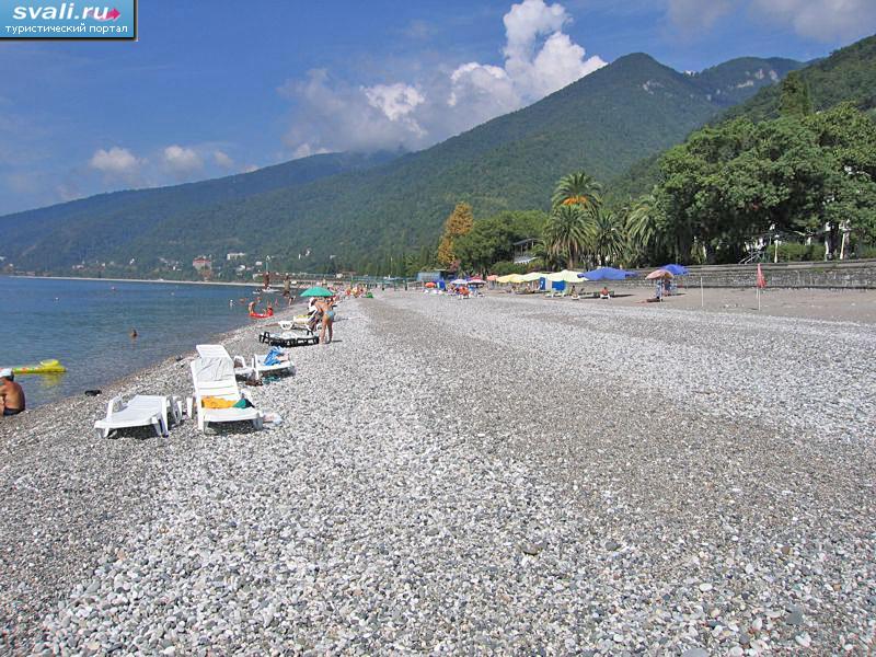 �����, �������. 