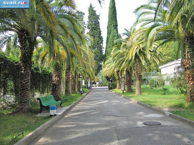 ����, �����, �������.