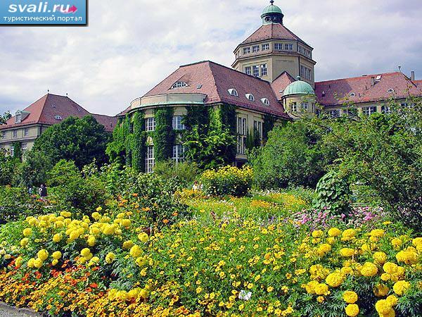 ������, ��������.