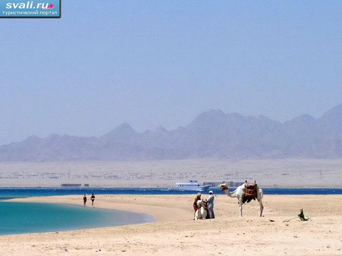 Сома-Бэй (Soma Bay), Египет. | Египет | фотографии | Туристический ...