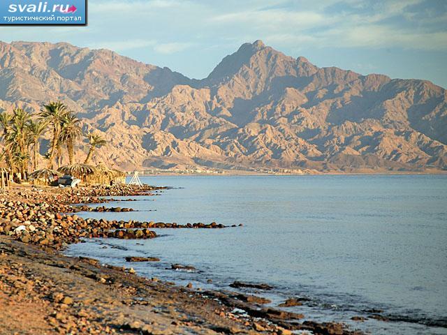 �����, ������.