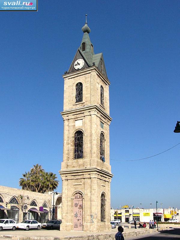 ������� �����, ����, ����-����, �������.