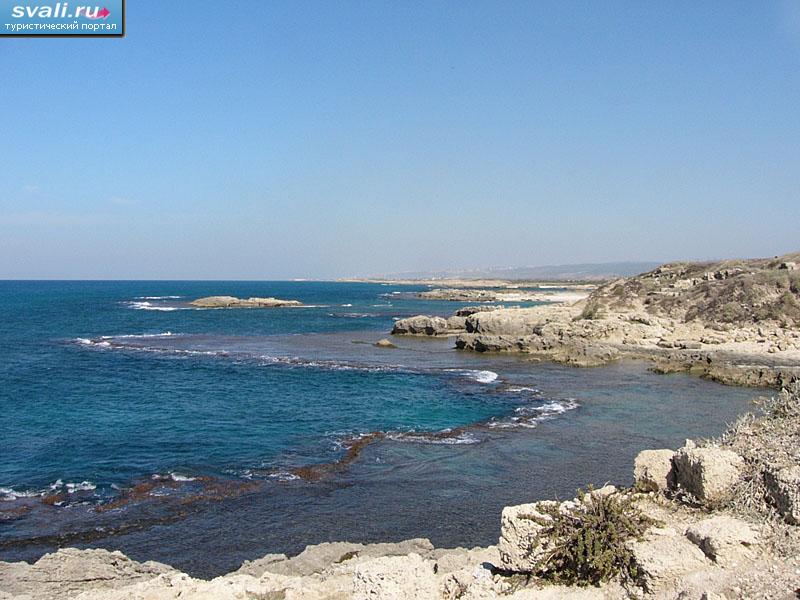 ��������������� �������� ����-��� (Tel Dor), �������.
