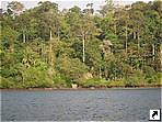 Остров Хавелок (Havelock), Андаманские острова, Индия.