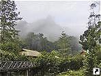 Тропический лес, остров Калимантан (Kalimantan, Borneo), Индонезия.