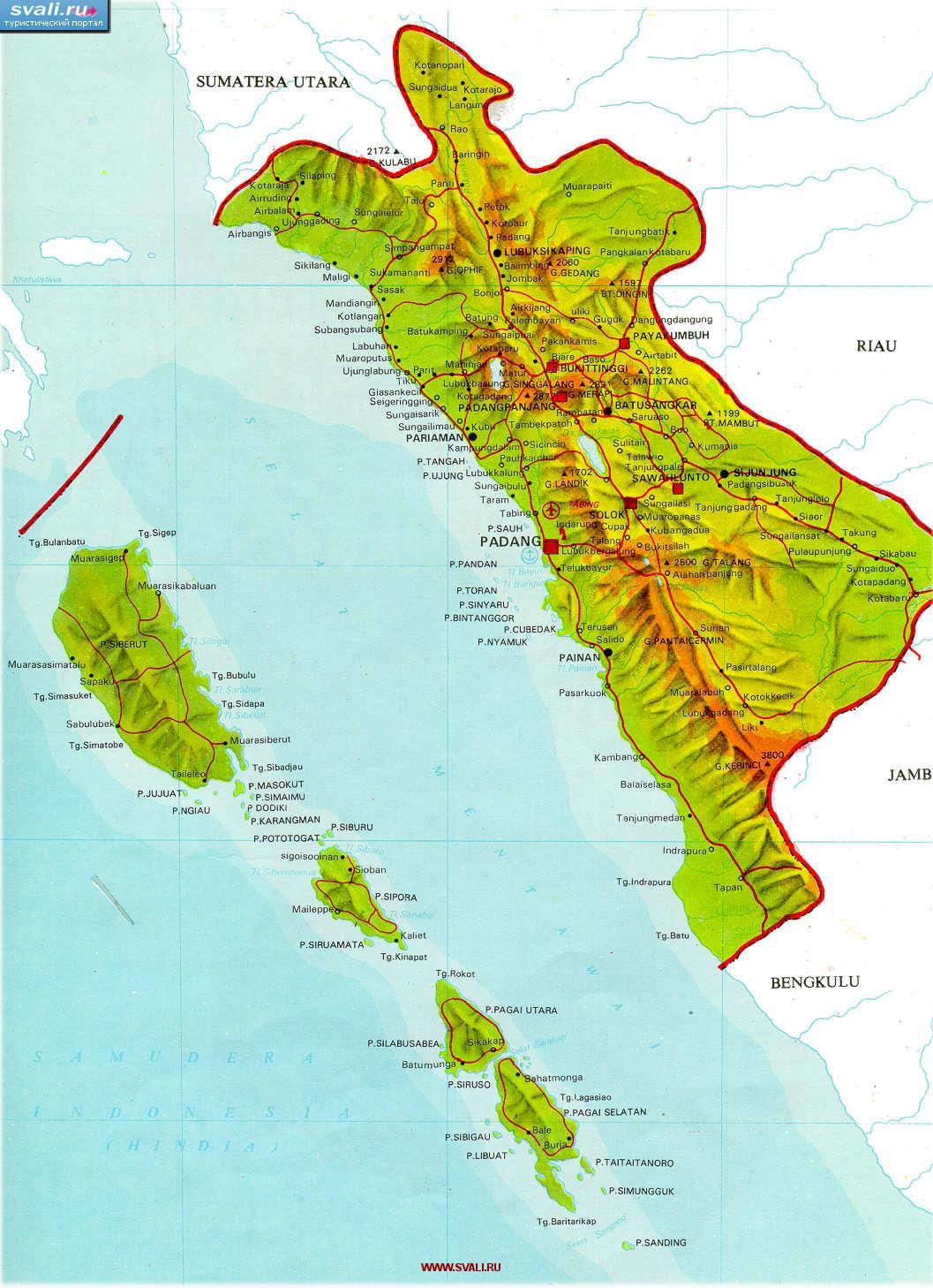    (Sumbar), , ,   (Sumatra)     (Siberut),  (Siruamata),  (.)