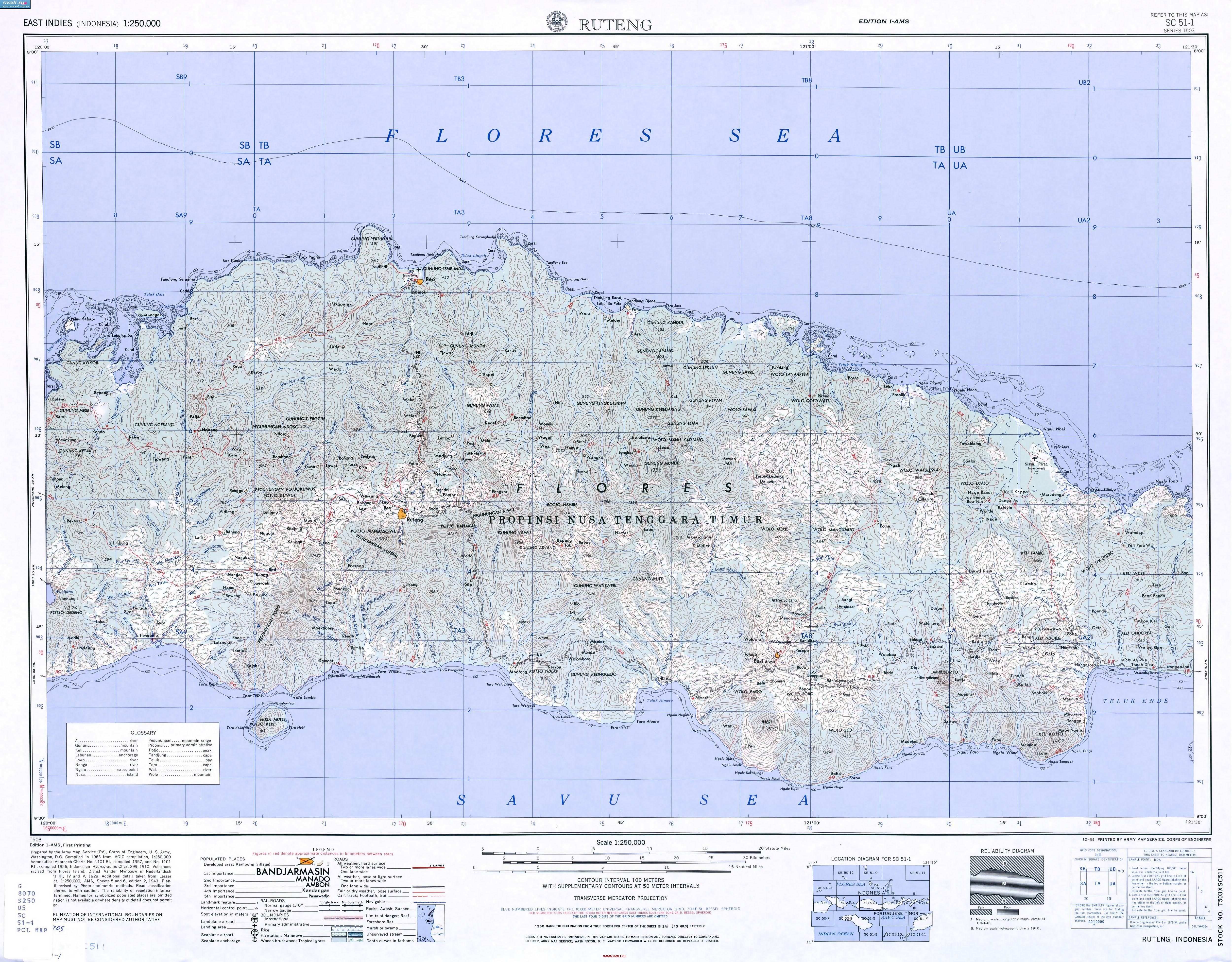         (Flores, , ),  - (Nusa Tenggara),   (.)