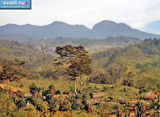Долина Балием (Baliem Valley), остров Новая Гвинея, Ириан Джая (Irian Jaya), Индонезия.