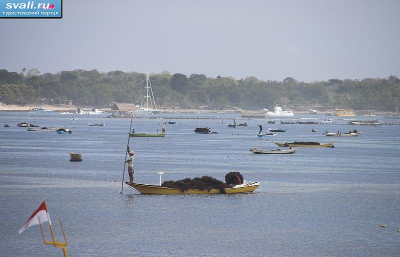 ������ ��������� (Nusa Lembongan), ���������.