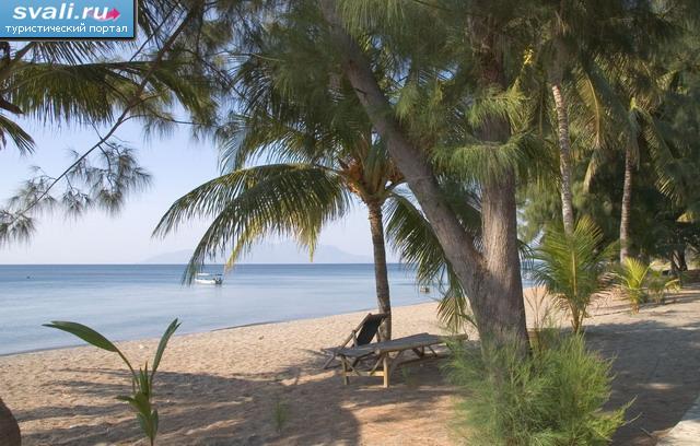 ���� �������� �� ������ ������� (Maumere), ������ ������ (Flores), ���������.