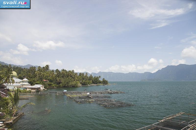   (Maninjau lake),  (Padang),   (Sumatra), .