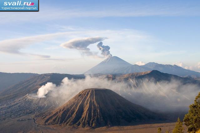       (Bromo),   (Java), .